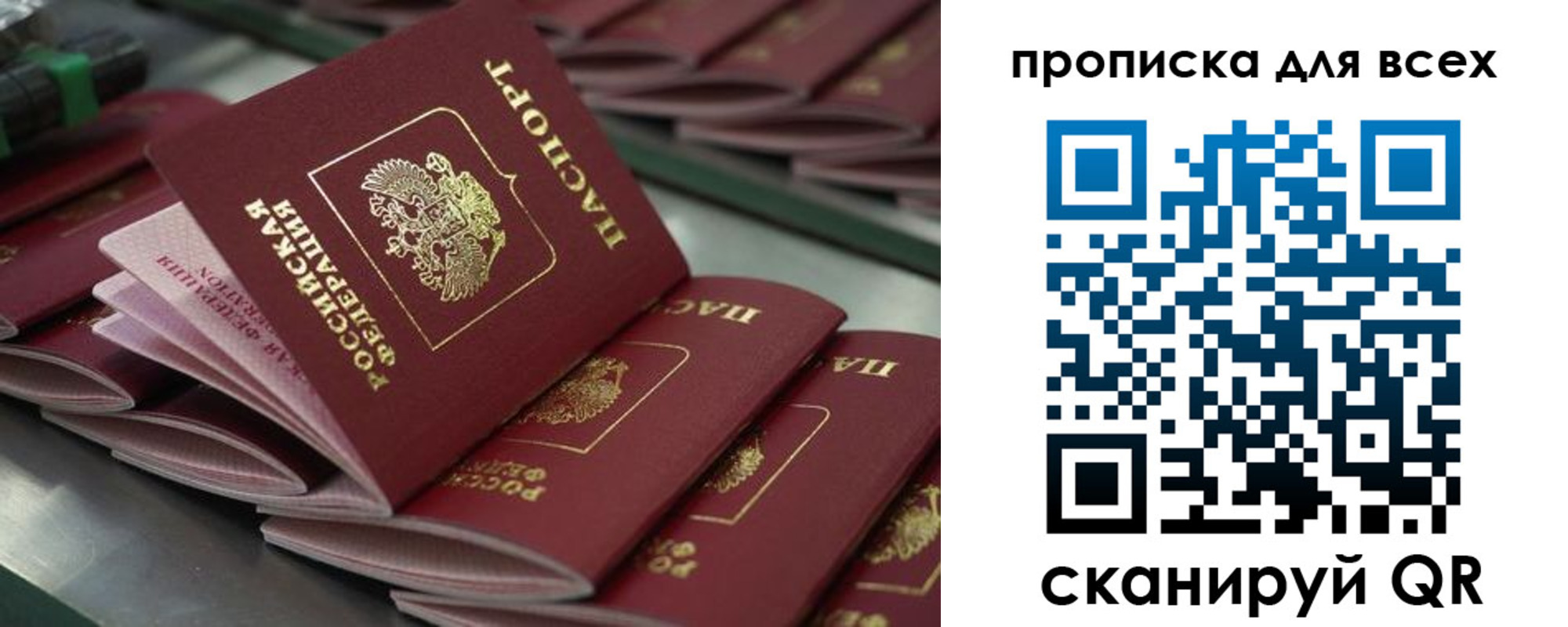 найти адрес прописки в Каргате